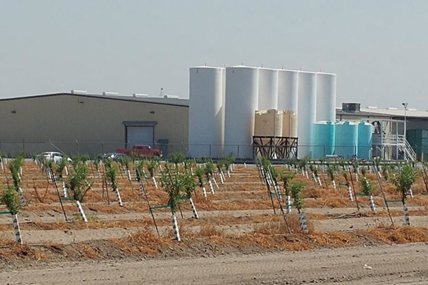 Tank Lines