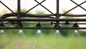 Ramping Up Confidence in Low-volatility Benefits of 2,4-D Choline