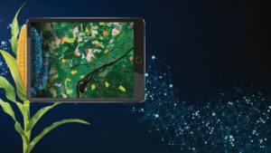 For Airbus in Agriculture, the Sky is Not the Limit