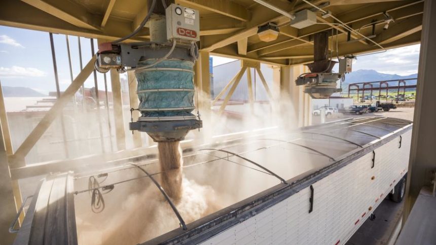 Biostimulants Raring for Regulation