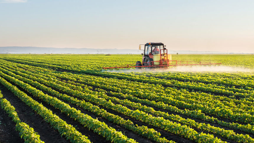 Federal Court Vacates Three Dicamba Registrations