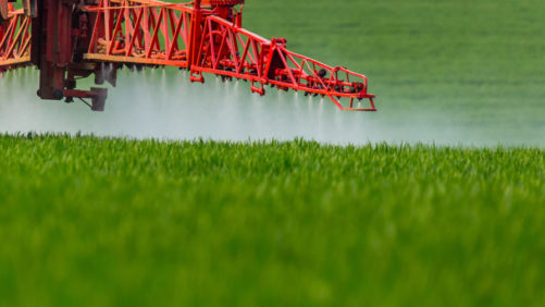 Why Tariffs Haven’t Raised Crop Protection Prices — Yet