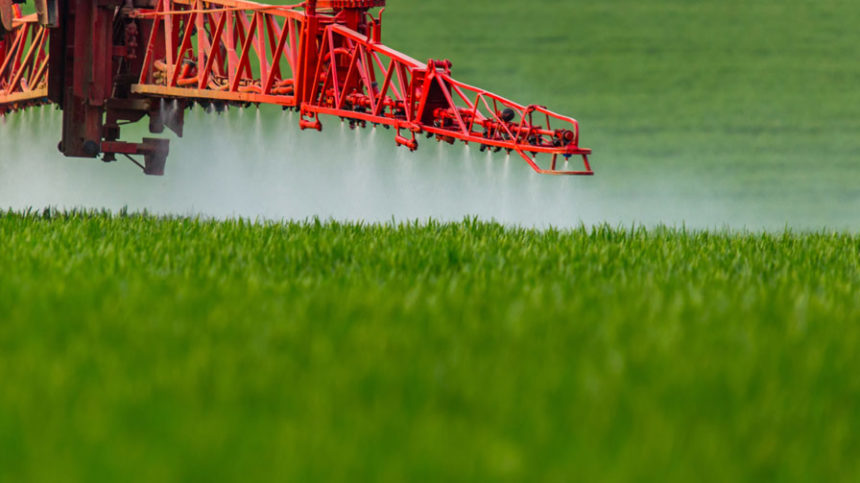 Dicamba Regains Approval, But Is It Too Late?