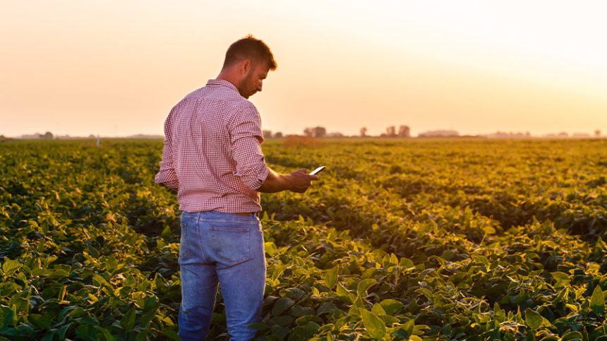 Dicamba Update: Resistance Prevention and the Credit Card