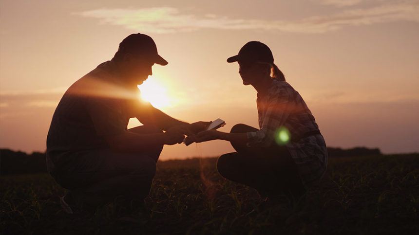 What Does the Future Hold for Dicamba?