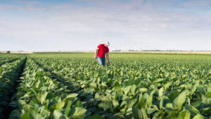 CropLife America ‘Supports EPA’s Protection of Farmers’ in Dicamba Case