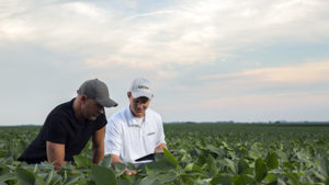 Right Information at the Right Time: How Connectivity Can Strengthen the Relationship Between Ag Retailers and Farmers