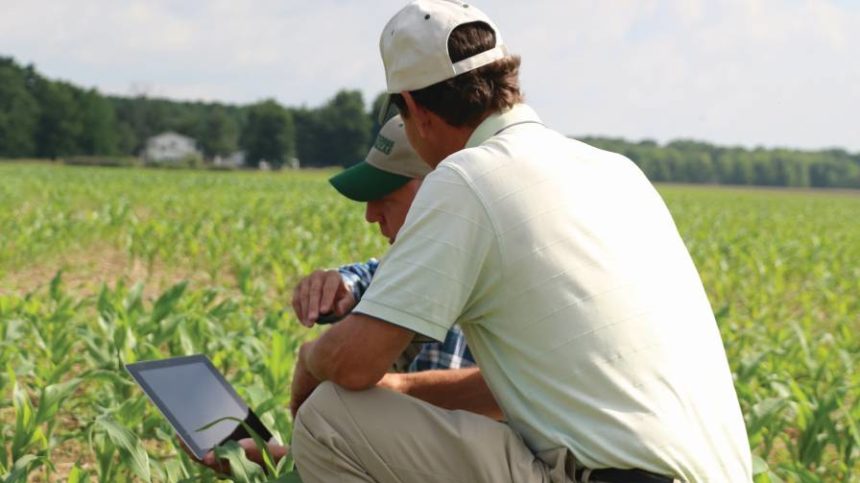 3 Key Steps to Preventing Employee Burnout in Agriculture