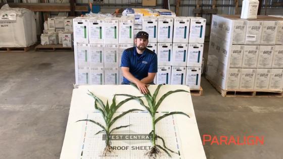 West Central Adds Starter Fertilizer and Adjuvant to Porfolio