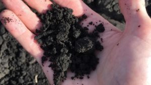 Report Analyzes Farm Bill Impact on Soil Health