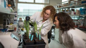 Fertilizer Enhancers Make Positive Additions to Soil Health, ROI