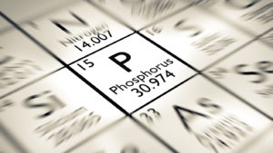 Efficiently Manage Phosphorus During the Growing Season