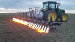 Is ‘Shock and Char’ the Future for Resistant Weed Control?