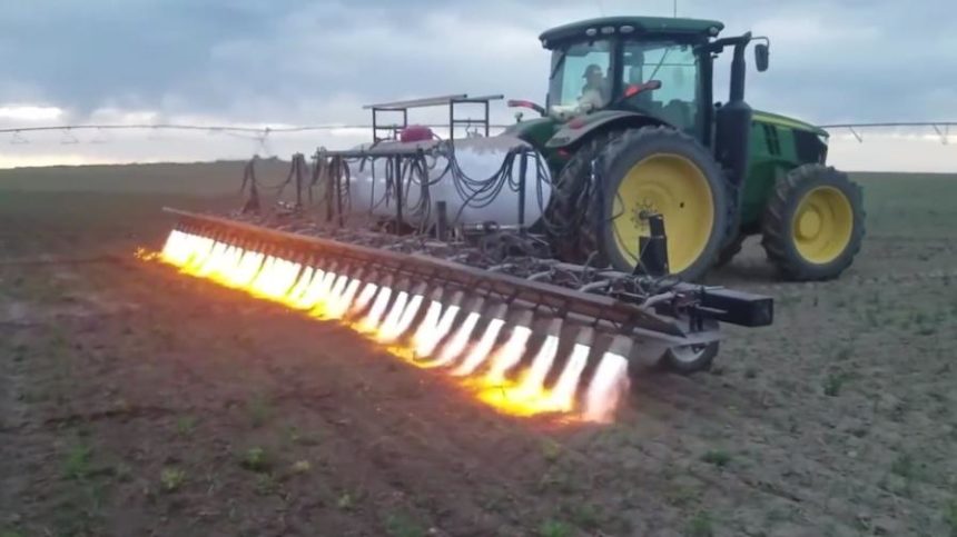 Is ‘Shock and Char’ the Future for Resistant Weed Control?