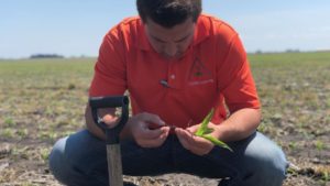 AgLaunch, Tennessee Department of Agriculture Continue Partnership to Support Field-Trial Projects