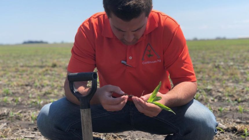 Continuum Ag, CIBO Technologies Form Strategic Partnership to Incentivize Regenerative Agriculture