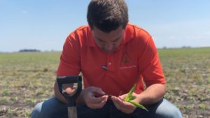 Continuum Ag: Digging Into Soil Health