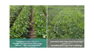 Syngenta Announces EPA Registration of Dicamba Herbicide Tavium Plus VaporGrip Technology