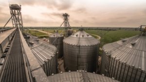 COVID-19: What’s Next for Food Supply Chains?