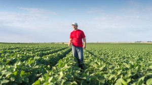 Zone Management in Precision Agriculture: 10 Key Questions to Ask Before Implementing Change