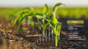 Farmers Edge Offers Nitrogen Tool at No Cost to Corn Growers in Wake of Unfavorable Weather Events