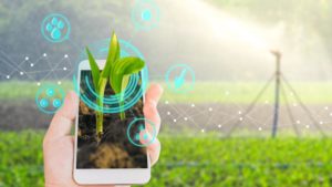On the Go with Mobile Tools in Precision Agriculture