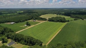 ADAMA’s New Ag Service Provides Analysis of Aerial Data