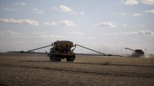 Micronutrient Outlook Provides Grounds for Cautious Optimism