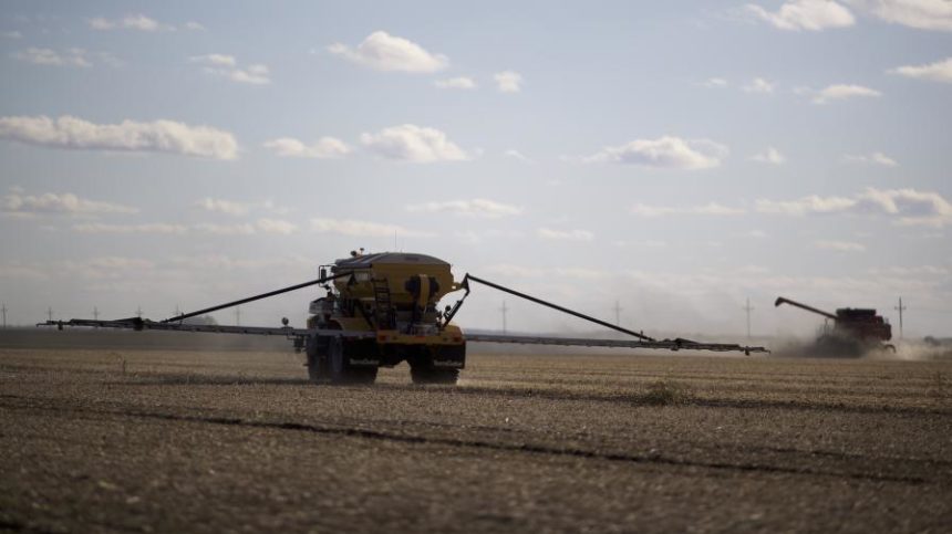 Micronutrient Outlook Provides Grounds for Cautious Optimism