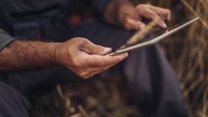 New STRATUM Digital Platform from GrainBridge Helps Farmers Improve Grain Marketing and Profitability