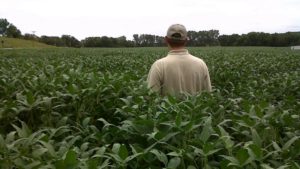 How Digital Collaboration Simplifies Nutrient Management Planning