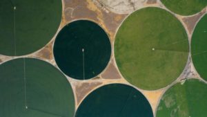 Aerial Imagery for Agriculture: TerrAvion Announces New Service Specs for 2020