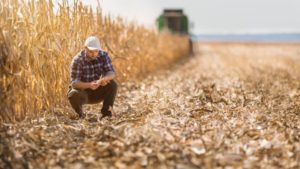 Planning for Future Pest and Disease Pressure