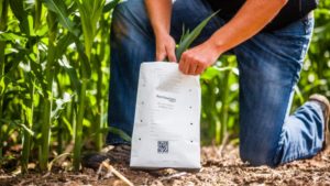 Tissue Sampling Reveals 5 Key Plant Health Trends