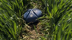 Reinke, CropX Form Partnership to Advance Precision Irrigation Technology