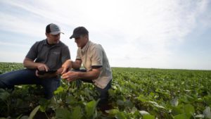 Seed Companies Anticipate a Resilient New Year