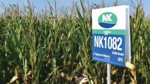 Seed Providers Anticipate a Strong Start to the Season