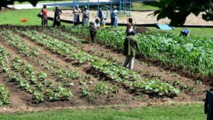The AGCO Agriculture Foundation, Global Growers Network Partner to Expand Agriculture Learning Center