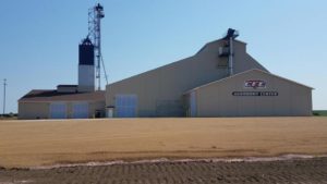 Normal Norms in Agriculture: No, New, and Near