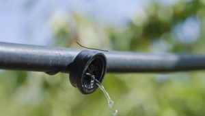 Fertigation as a Precision Agriculture Tool