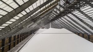 Global Nitrogen Outlook: Top 4 Market Themes to Watch in 2020