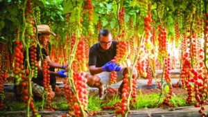 10 Disruptive Trends for Crop Protection