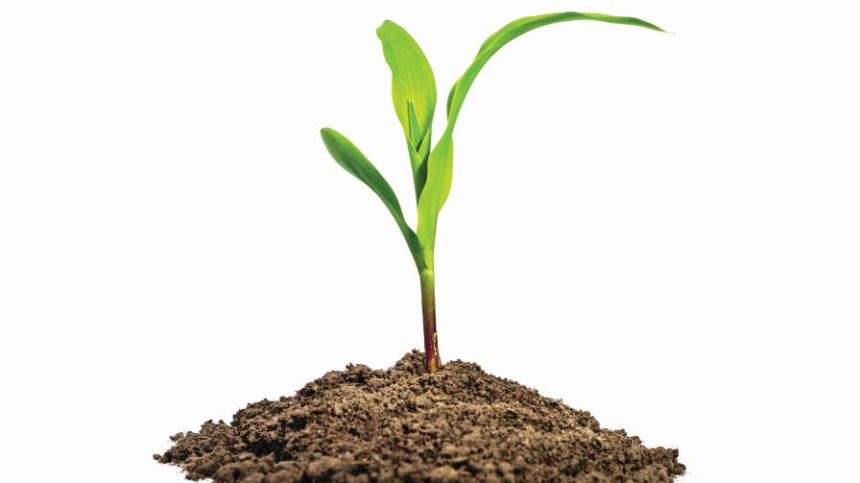 Regulatory Harmony Tops Most Pressing Issues for Biostimulants Market