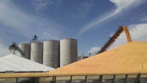 CHS and MKC Mutually Agree to End Grain Marketing Venture