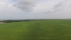 Bayer Introduces Delaro Complete Fungicide After Federal Approval