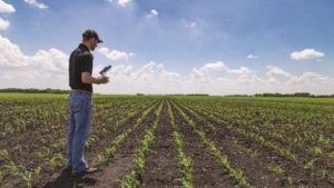 Making Sense of the 4 V’s of Big Data in Agriculture