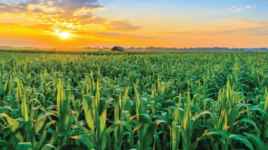 Ag Secretary Tom Vilsack on the Confirmation of Dr. Basil Gooden as USDA Under Secretary for Rural Development