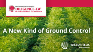A New Kind of Ground Control