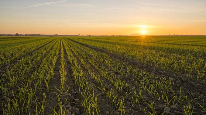 Crop Protection Fares Well in ’21, with a Caveat
