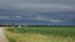 Long Periods of Rainfall Across the U.S. Calls for Added Nutrients